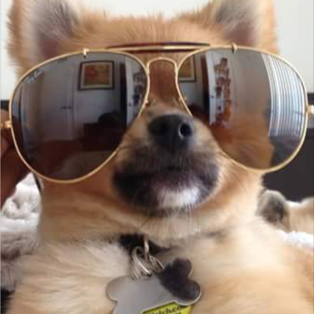 Meet your Posher, Shai